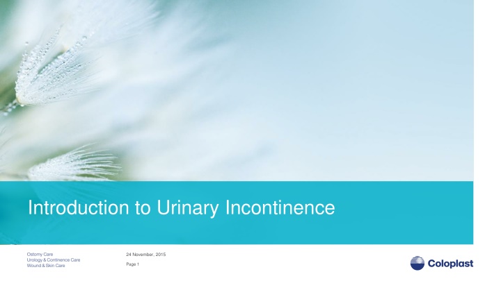 introduction to urinary incontinence