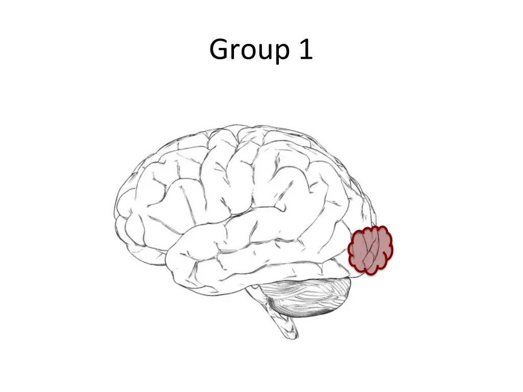 group 1 1