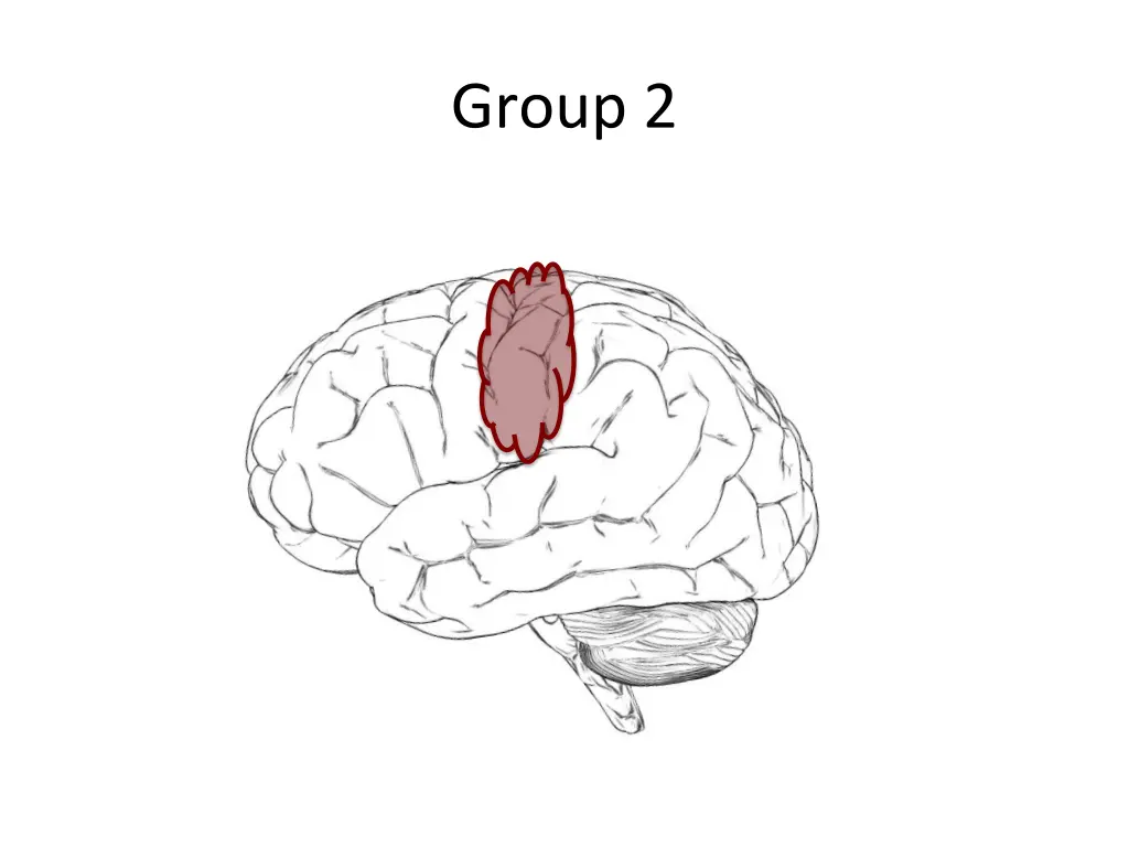 group 2