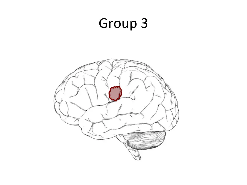 group 3