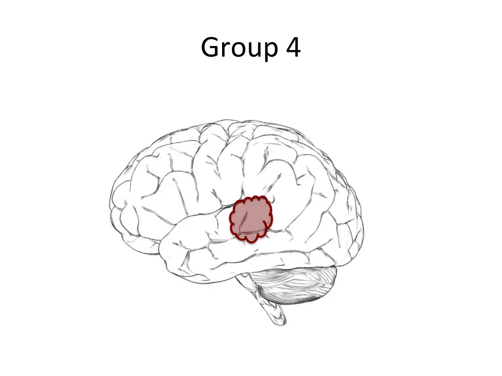 group 4