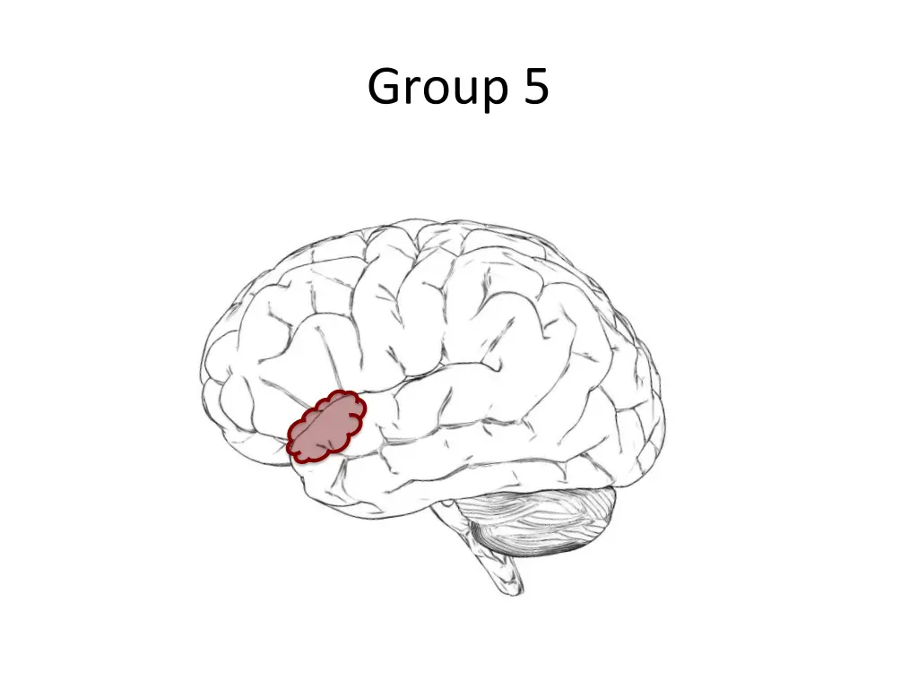 group 5