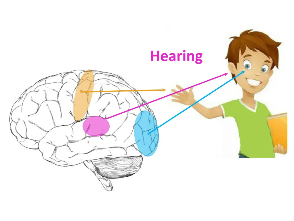hearing