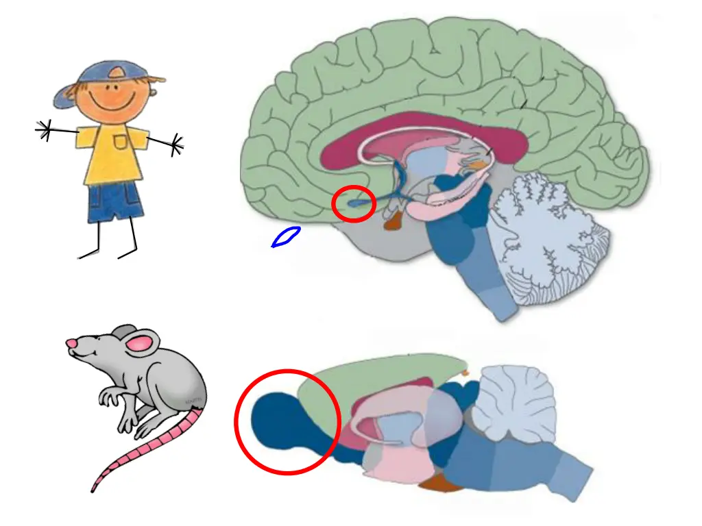 slide28