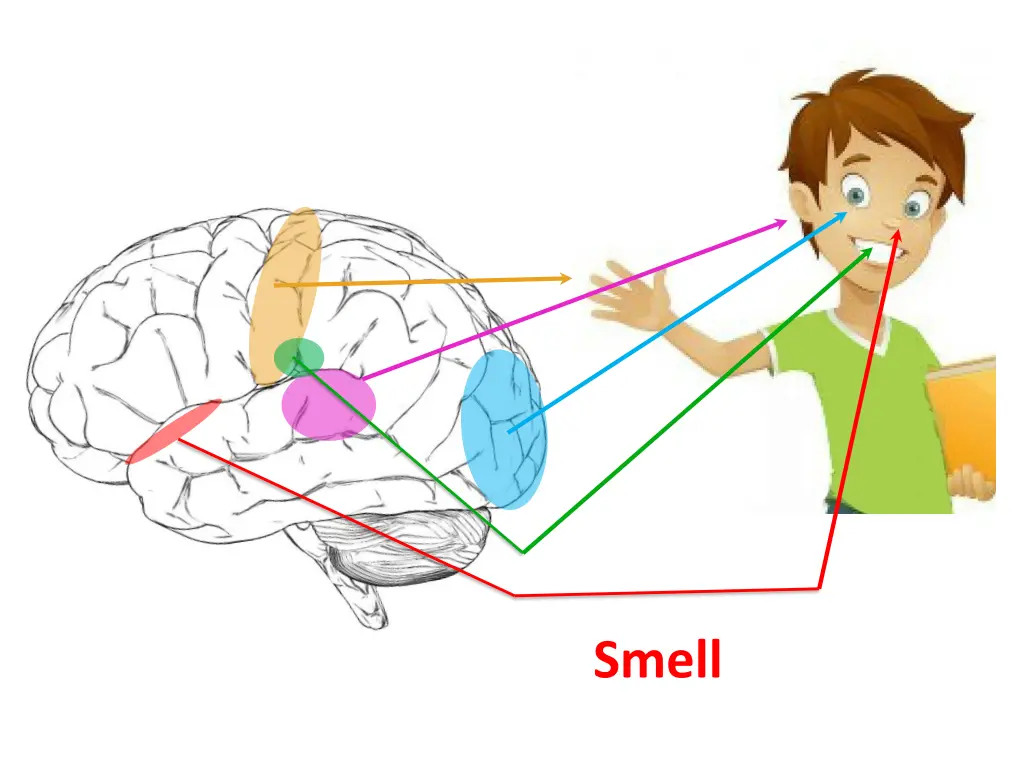 smell