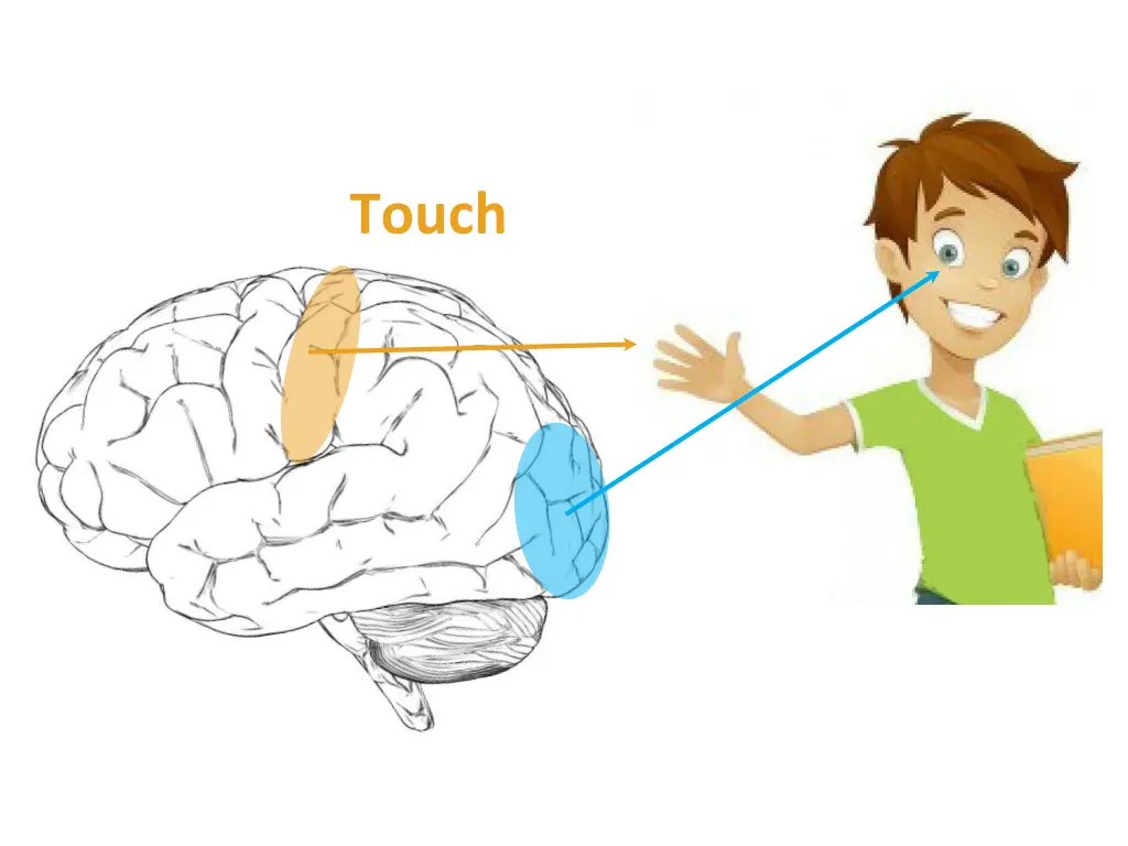 touch