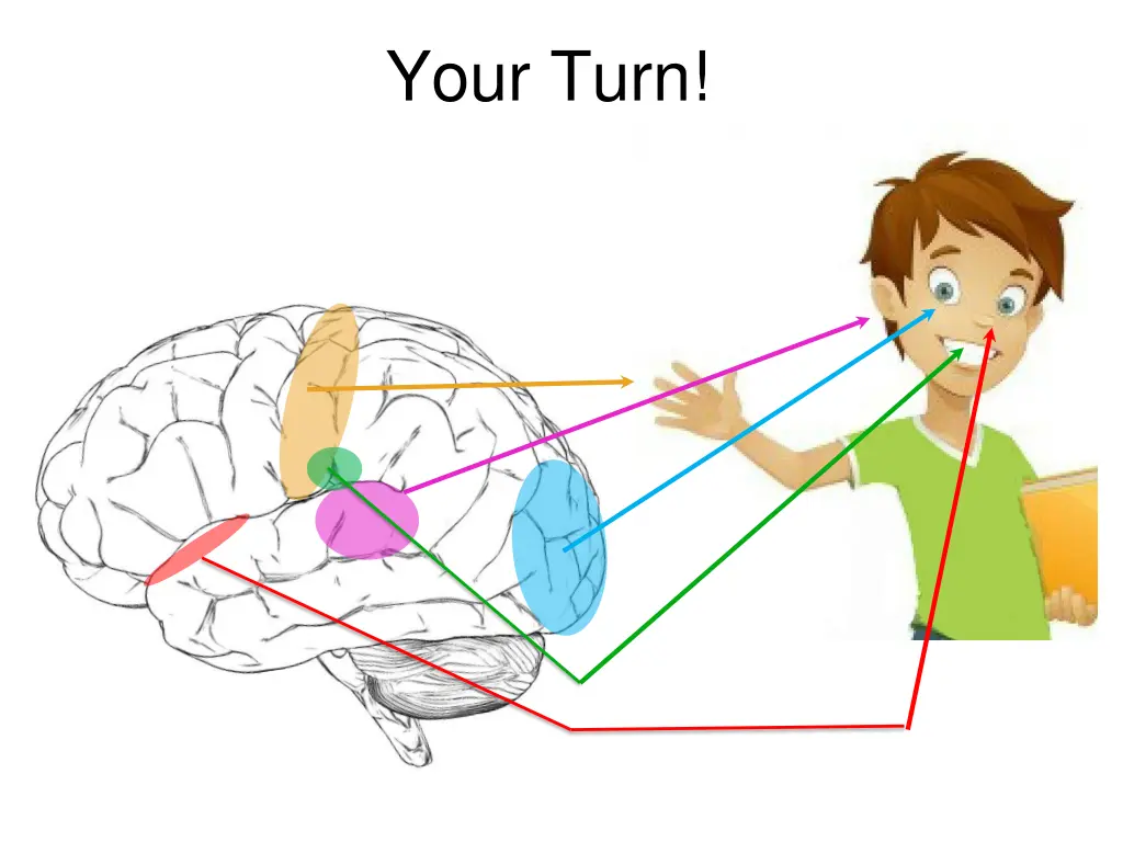 your turn