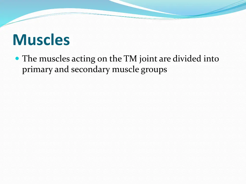 muscles
