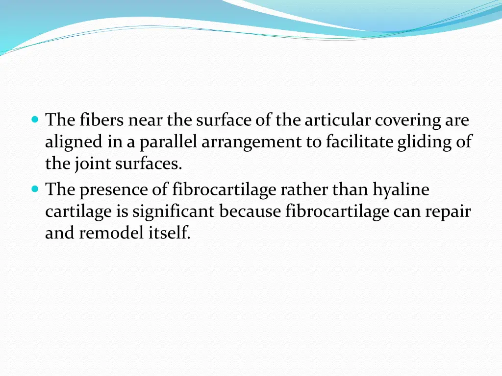 the fibers near the surface of the articular