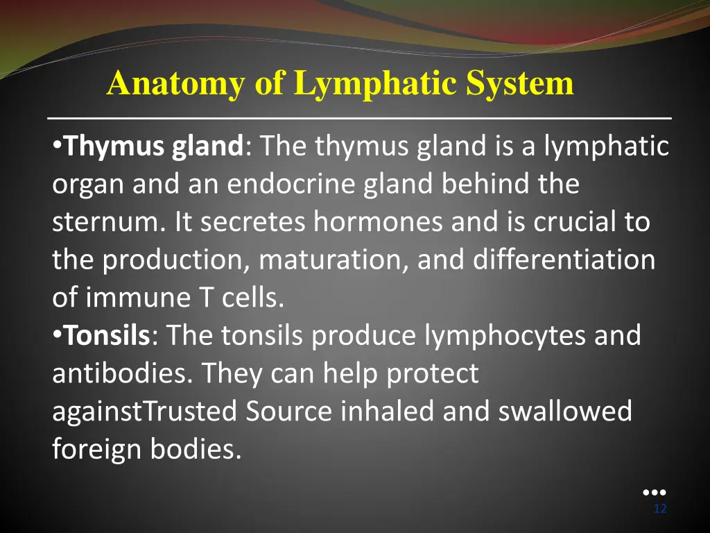 anatomy of lymphatic system 2