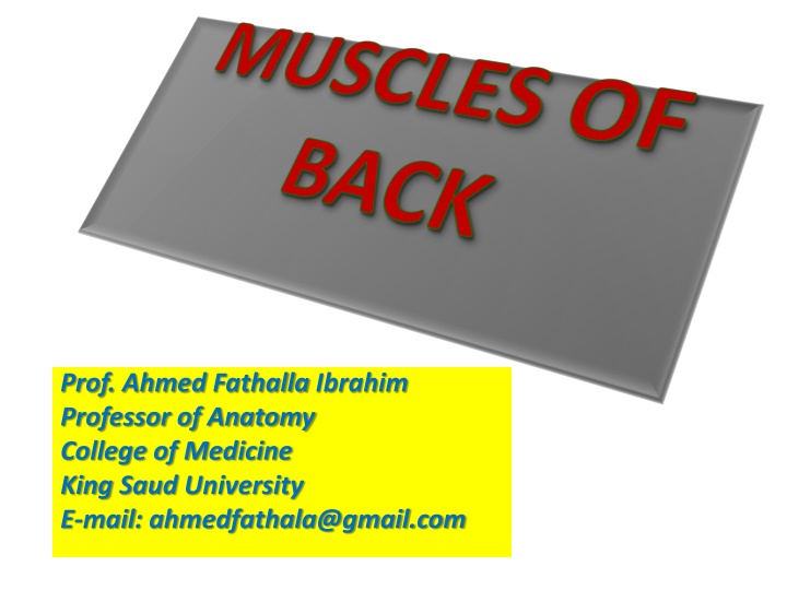 prof ahmed fathalla ibrahim professor of anatomy