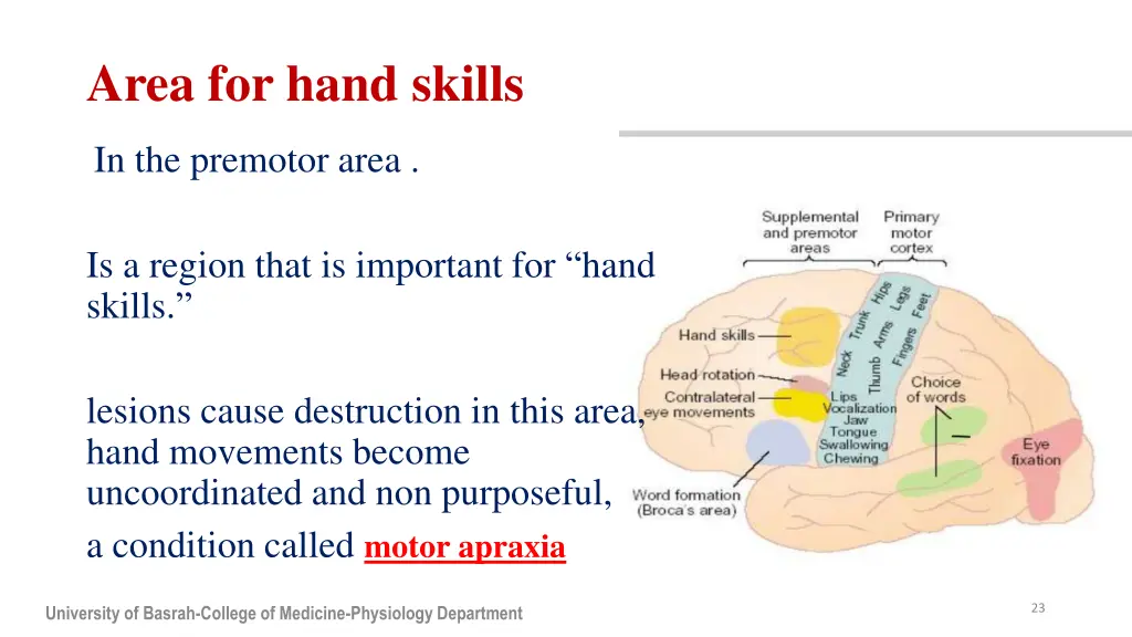 area for hand skills