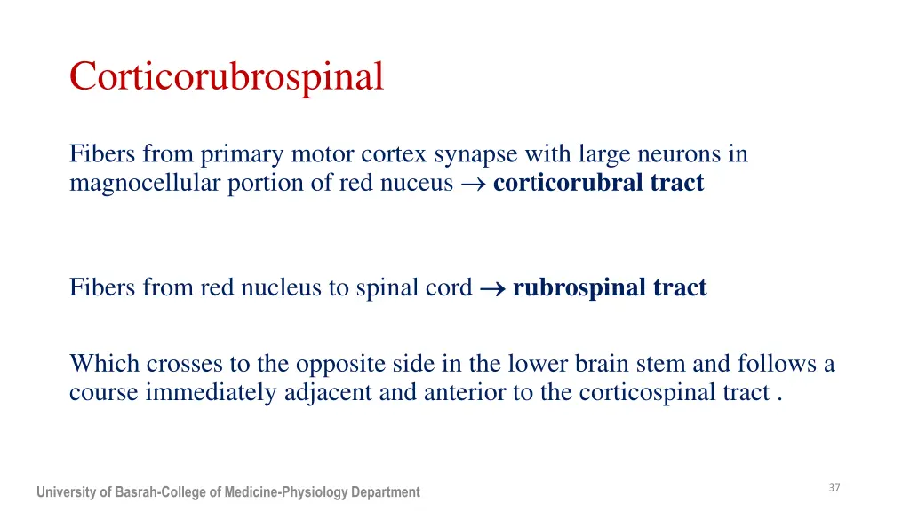 corticorubrospinal
