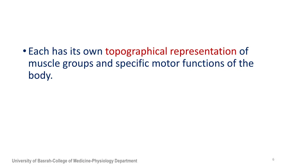 each has its own topographical representation