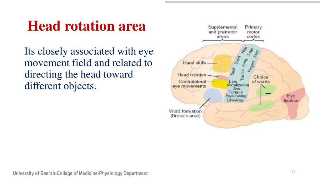 head rotation area