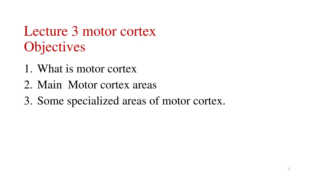 lecture 3 motor cortex objectives