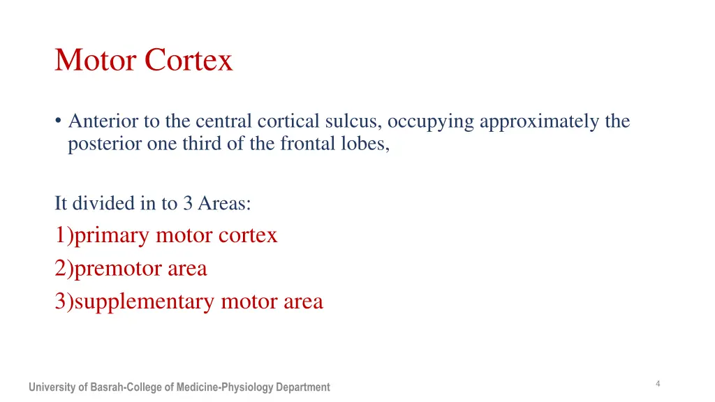 motor cortex
