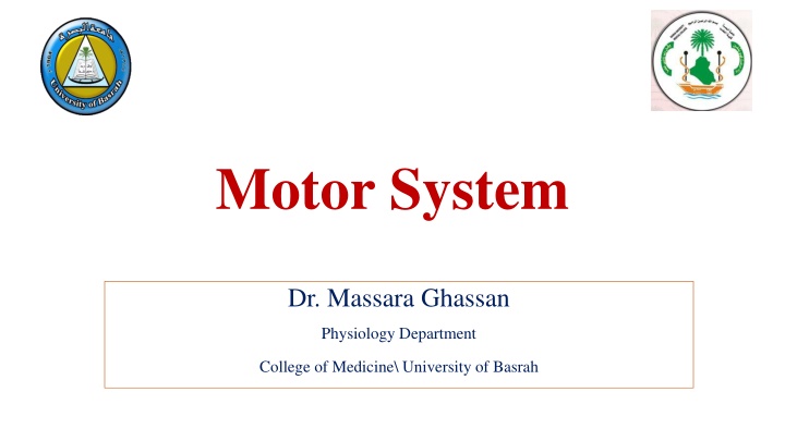 motor system