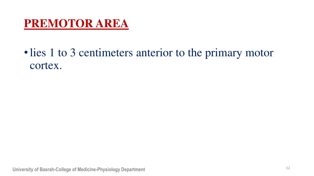 premotor area