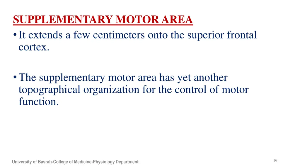 supplementary motor area it extends