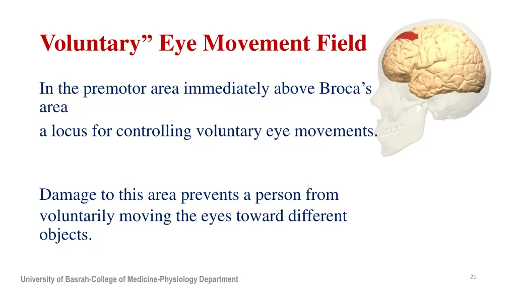 voluntary eye movement field