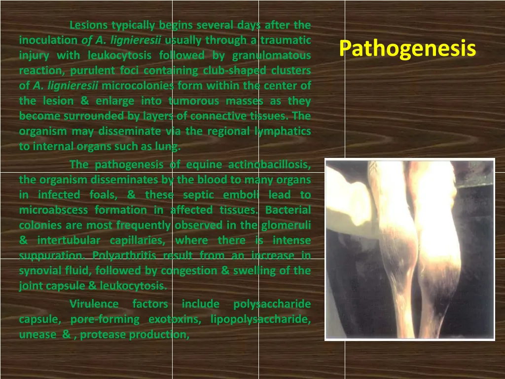 lesions typically begins several days after