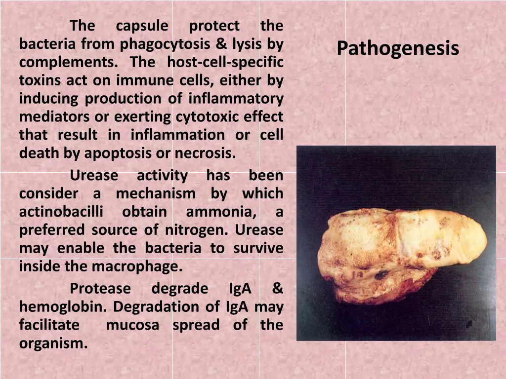 slide5