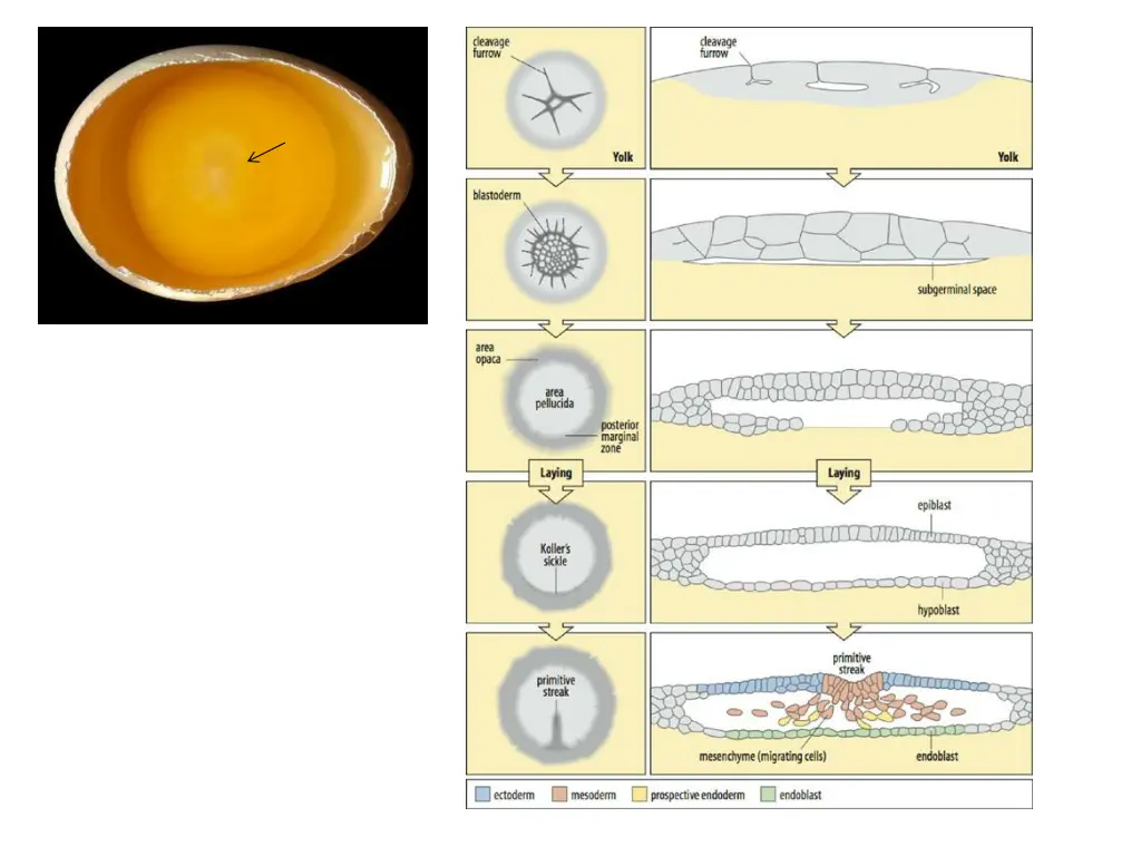 slide5