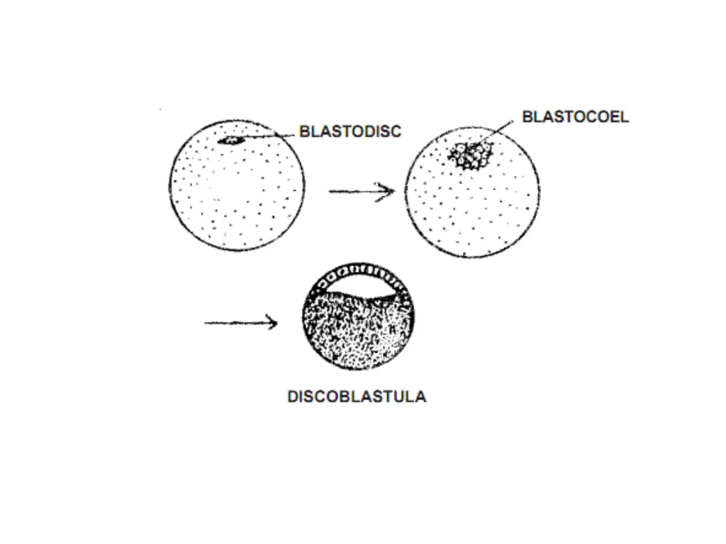 slide6