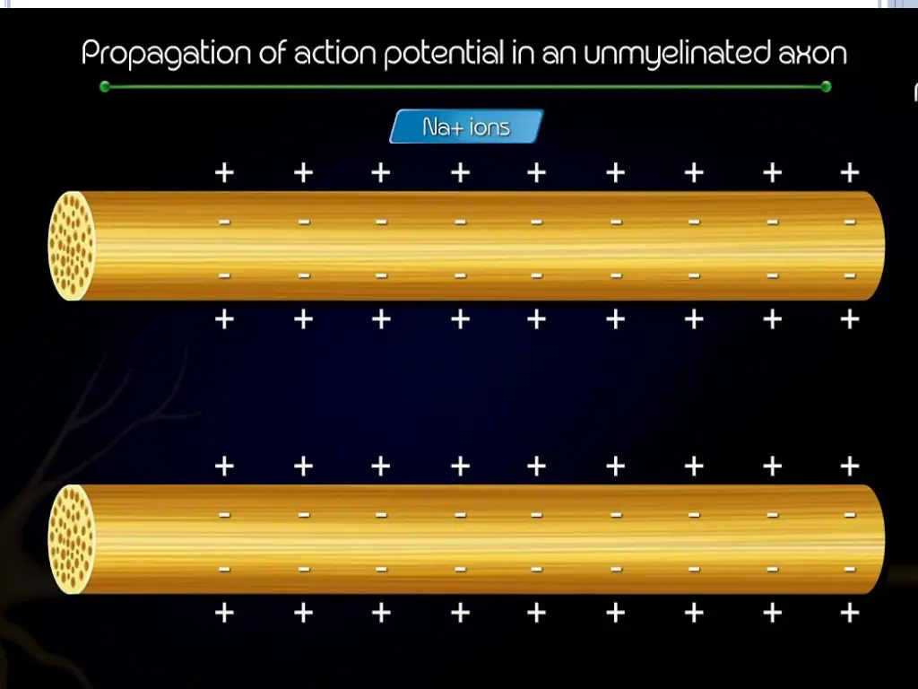 slide4