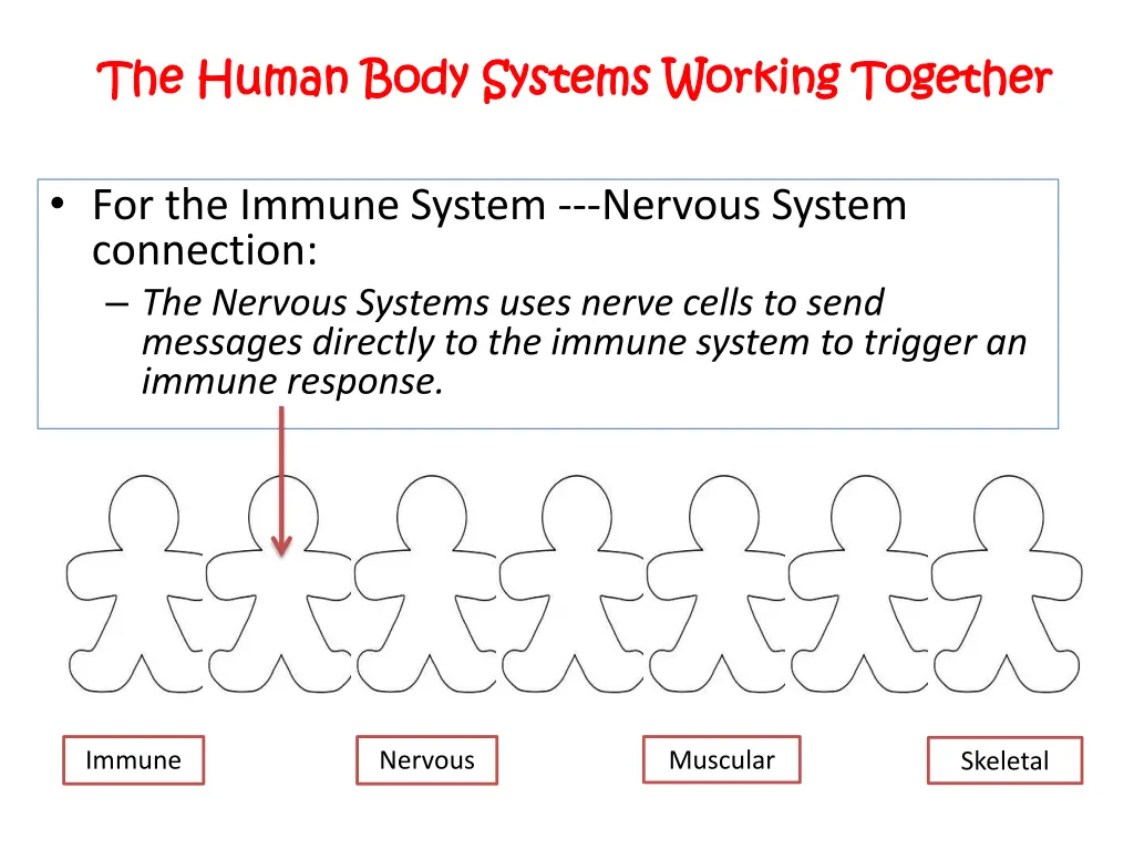 the human body systems working together the human 1