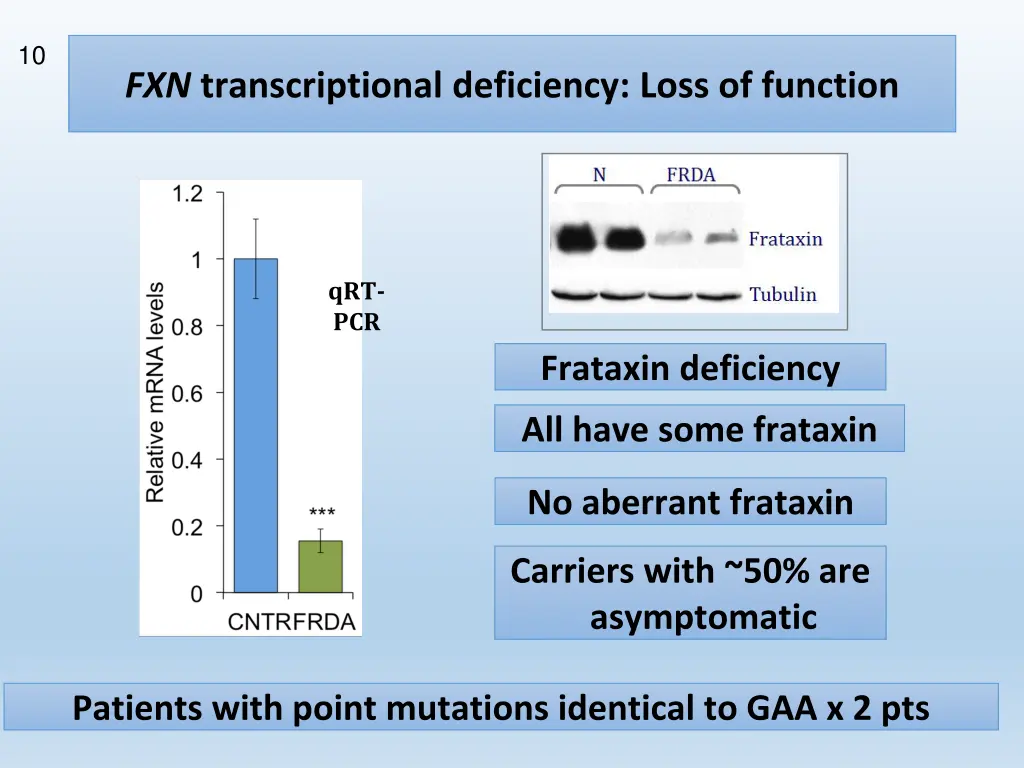 slide11