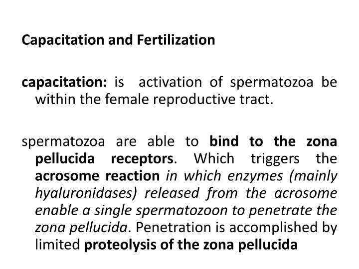 capacitation and fertilization