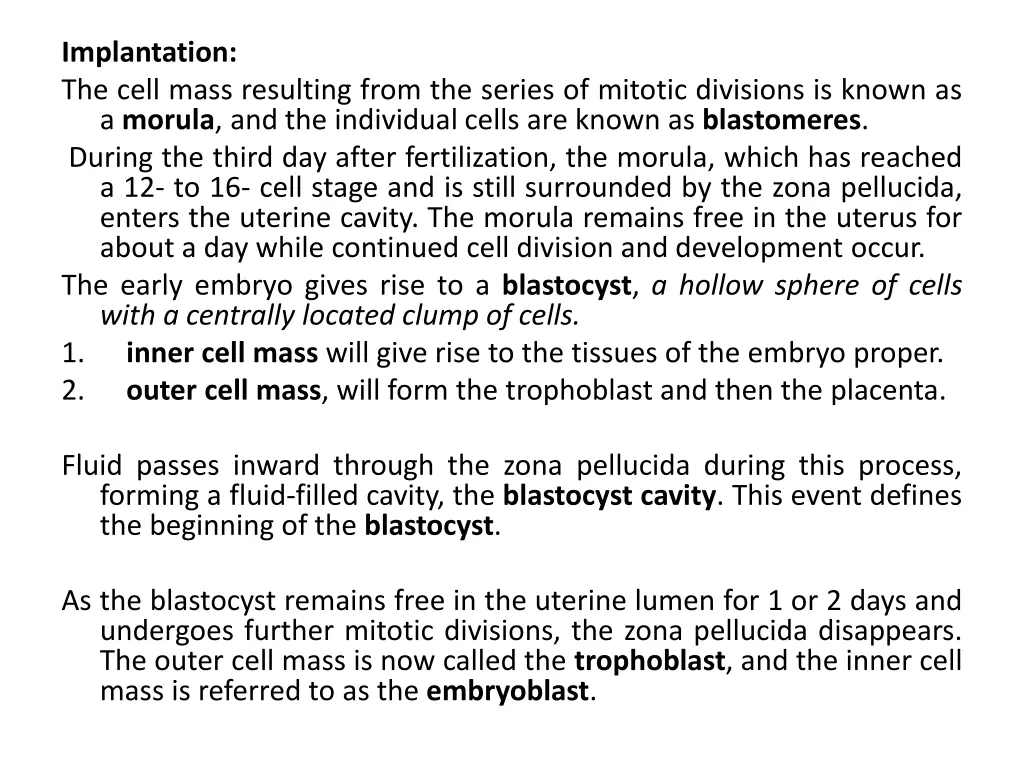 implantation the cell mass resulting from