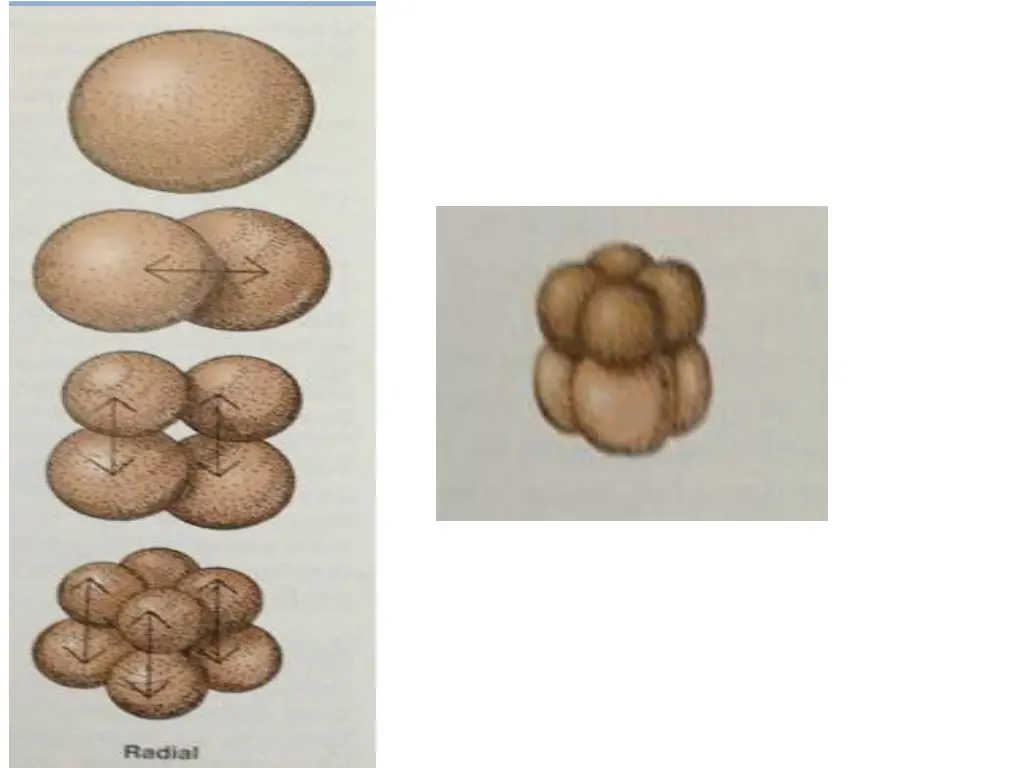 slide10