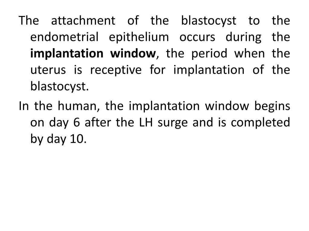 the attachment of the blastocyst