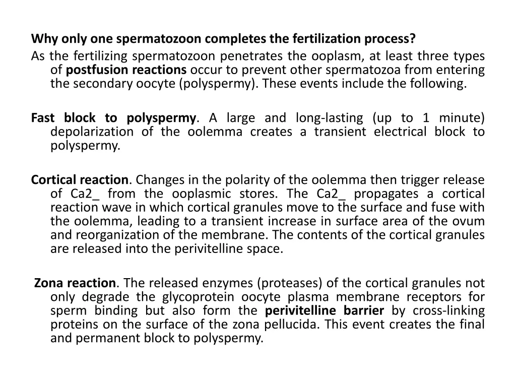 why only one spermatozoon completes