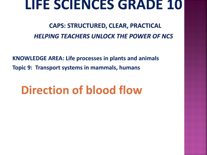 life sciences grade 10