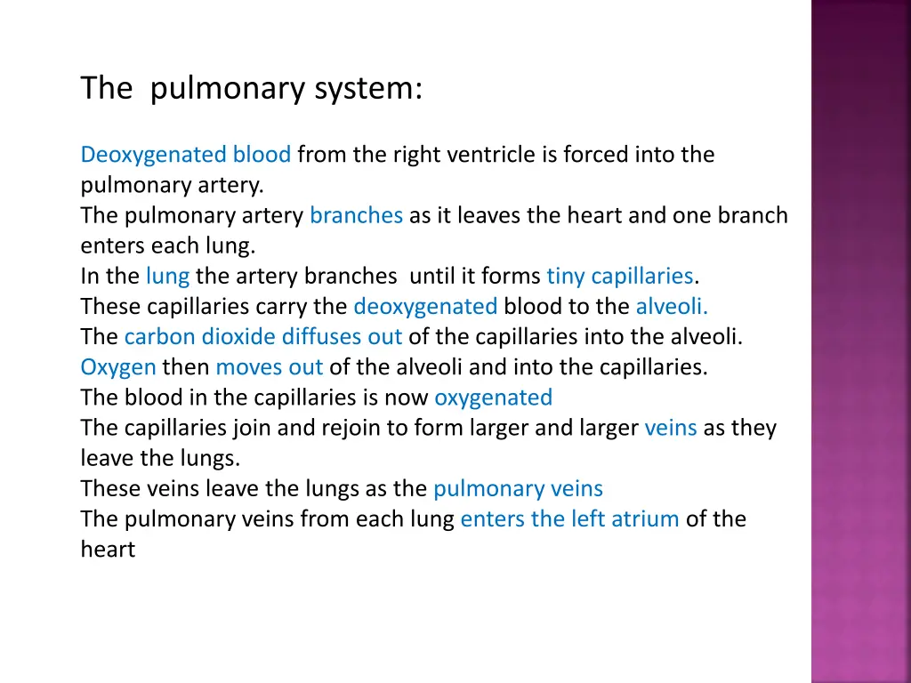 the pulmonary system