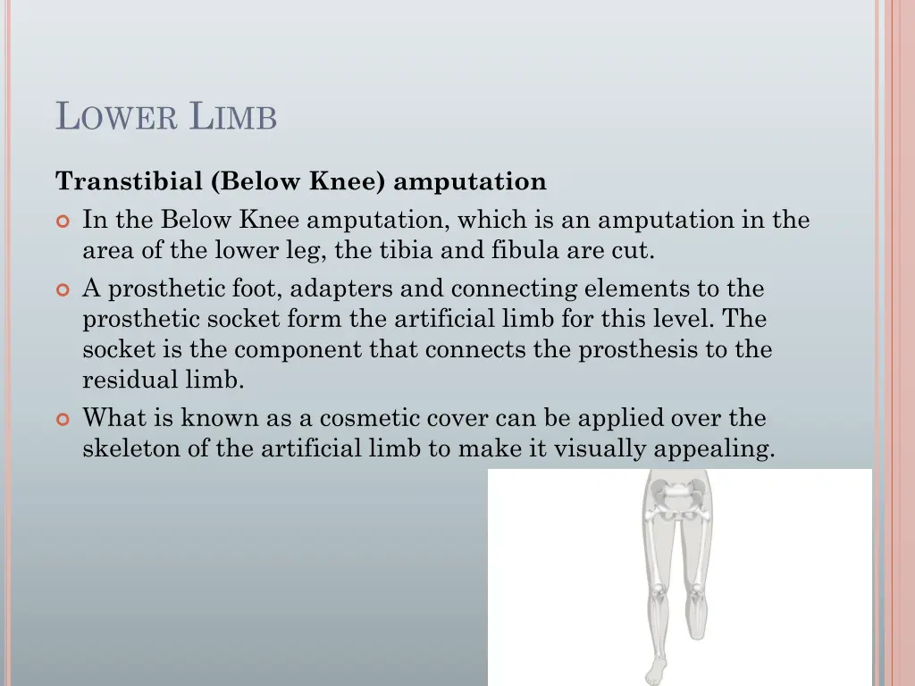 l ower l imb 2
