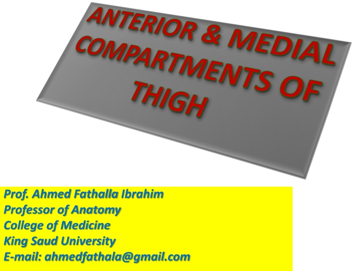 prof ahmed fathalla ibrahim professor of anatomy