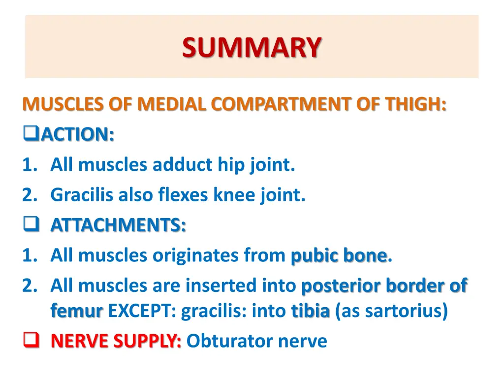 summary 1