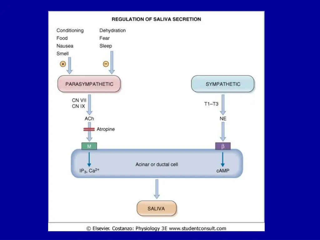 slide29