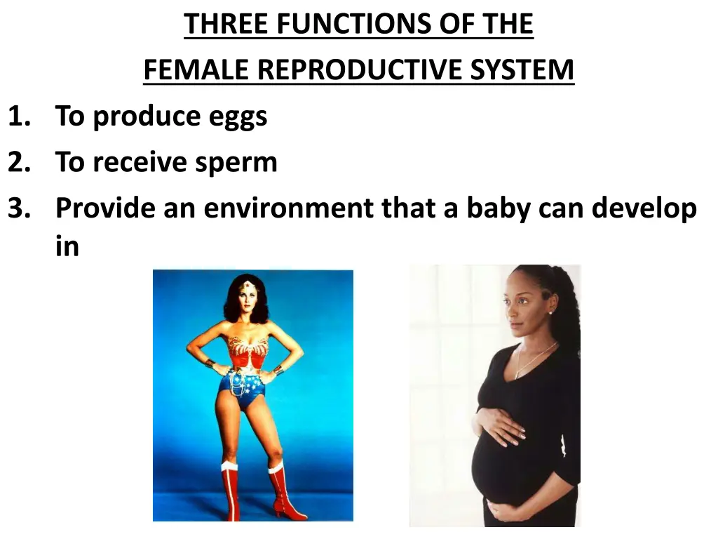 three functions of the female reproductive system