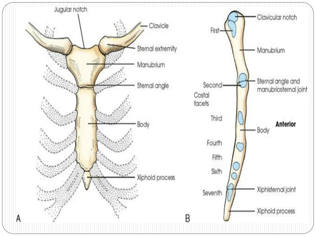 slide2