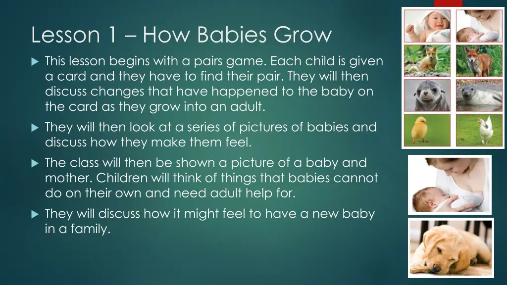 lesson 1 how babies grow