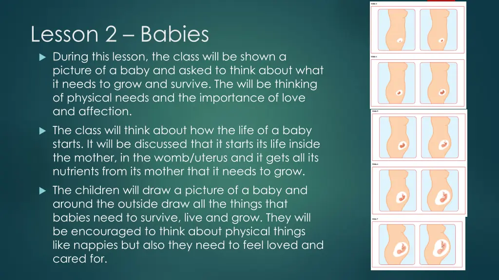 lesson 2 babies during this lesson the class will