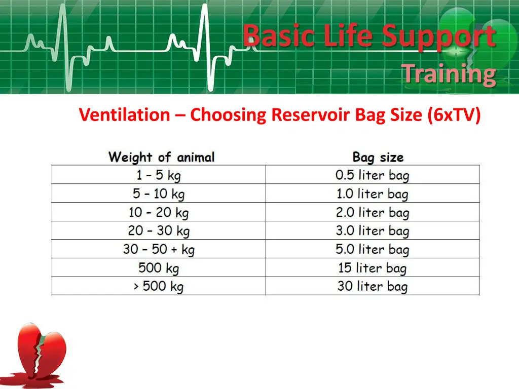 basic life support 8