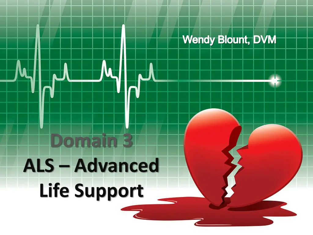 wendy blount dvm 3