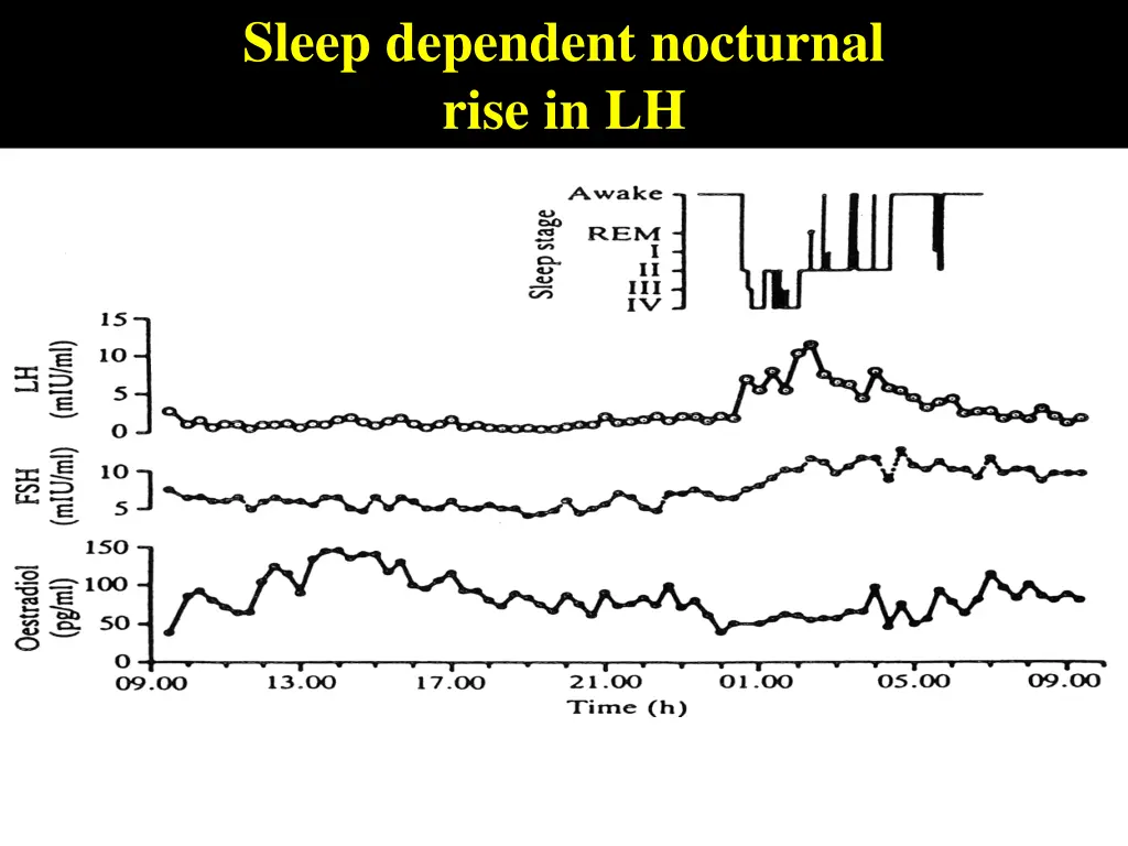 sleep dependent nocturnal rise in lh